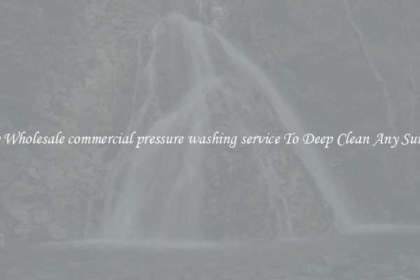 Buy Wholesale commercial pressure washing service To Deep Clean Any Surface