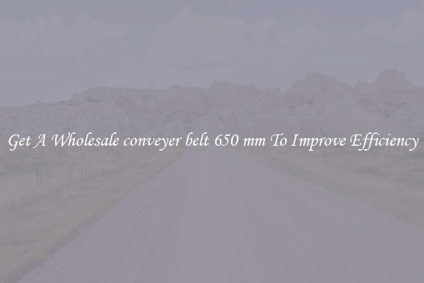 Get A Wholesale conveyer belt 650 mm To Improve Efficiency