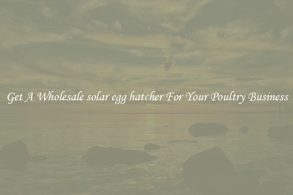 Get A Wholesale solar egg hatcher For Your Poultry Business