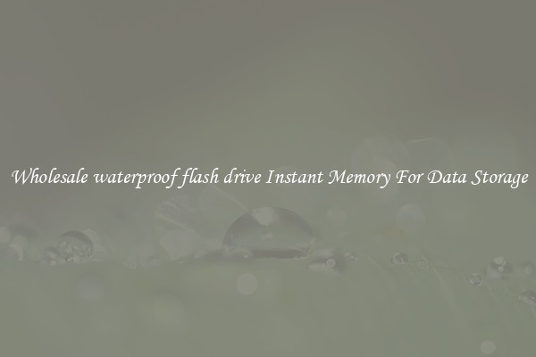 Wholesale waterproof flash drive Instant Memory For Data Storage