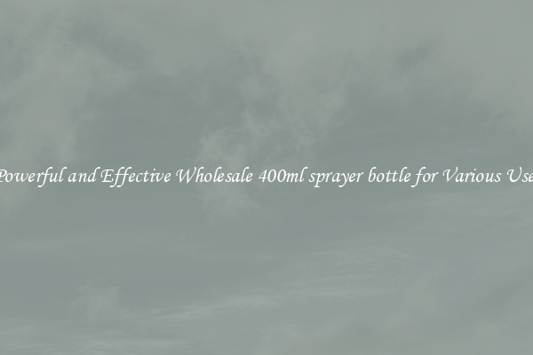 Powerful and Effective Wholesale 400ml sprayer bottle for Various Uses