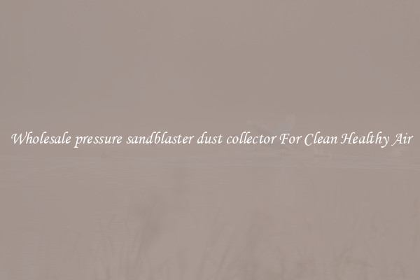 Wholesale pressure sandblaster dust collector For Clean Healthy Air