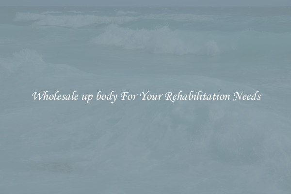 Wholesale up body For Your Rehabilitation Needs