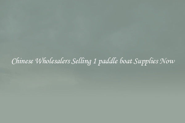 Chinese Wholesalers Selling 1 paddle boat Supplies Now