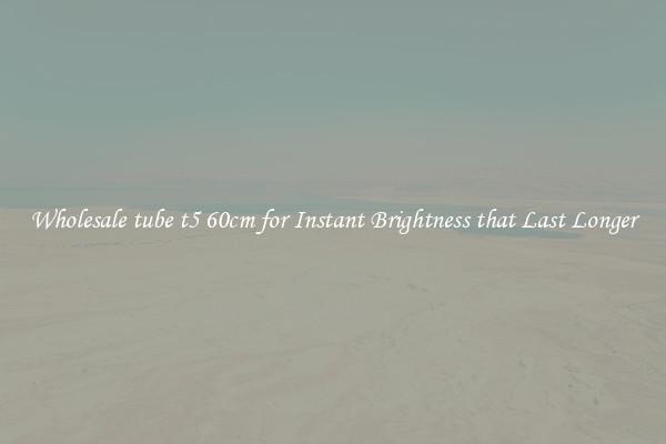 Wholesale tube t5 60cm for Instant Brightness that Last Longer