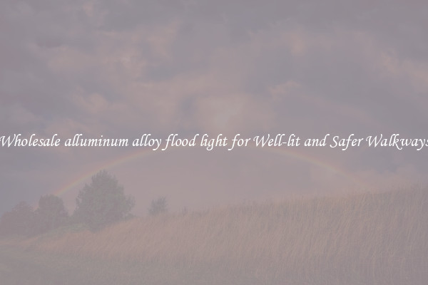 Wholesale alluminum alloy flood light for Well-lit and Safer Walkways