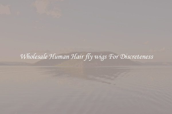 Wholesale Human Hair fly wigs For Discreteness
