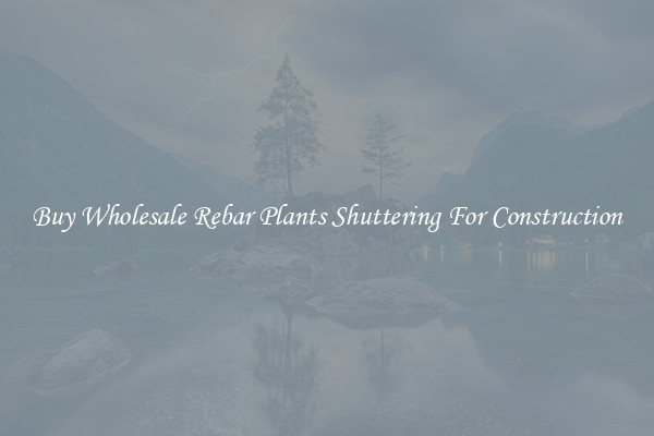 Buy Wholesale Rebar Plants Shuttering For Construction