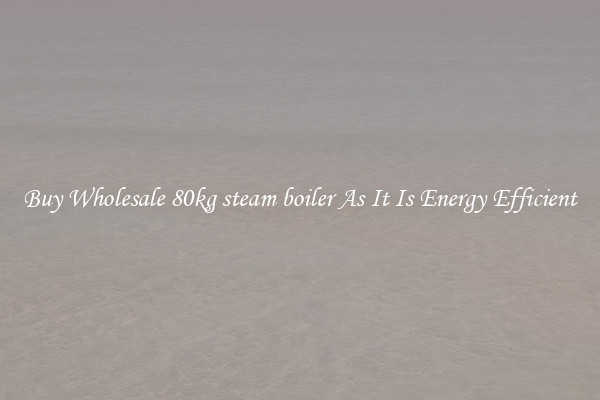 Buy Wholesale 80kg steam boiler As It Is Energy Efficient
