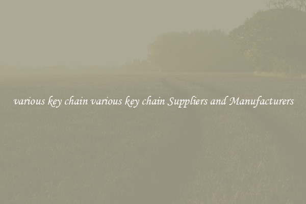 various key chain various key chain Suppliers and Manufacturers