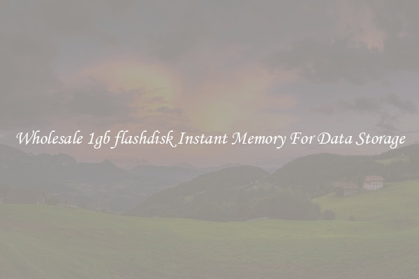 Wholesale 1gb flashdisk Instant Memory For Data Storage