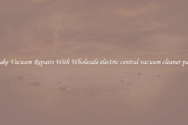 Make Vacuum Repairs With Wholesale electric central vacuum cleaner parts