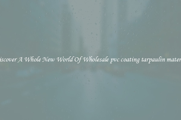 Discover A Whole New World Of Wholesale pvc coating tarpaulin material