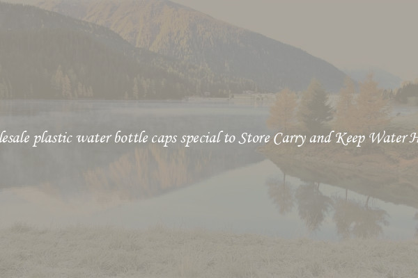 Wholesale plastic water bottle caps special to Store Carry and Keep Water Handy