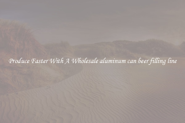 Produce Faster With A Wholesale aluminum can beer filling line