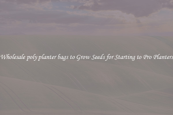 Wholesale poly planter bags to Grow Seeds for Starting to Pro Planters