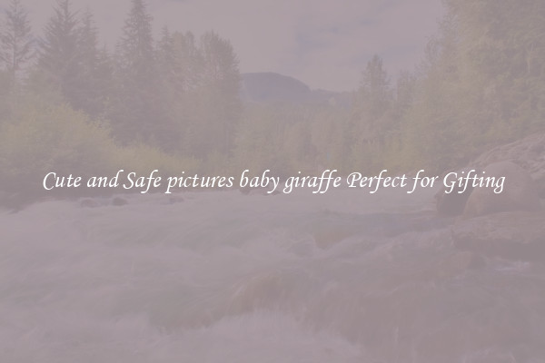 Cute and Safe pictures baby giraffe Perfect for Gifting