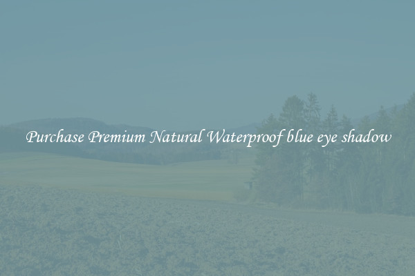 Purchase Premium Natural Waterproof blue eye shadow