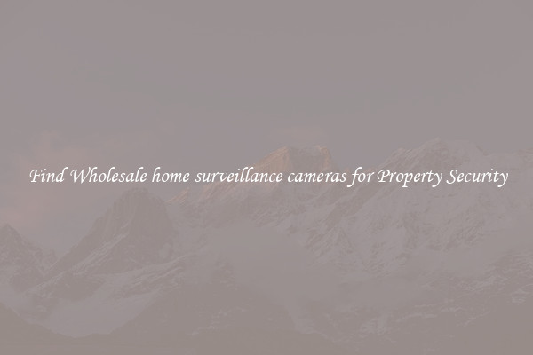 Find Wholesale home surveillance cameras for Property Security