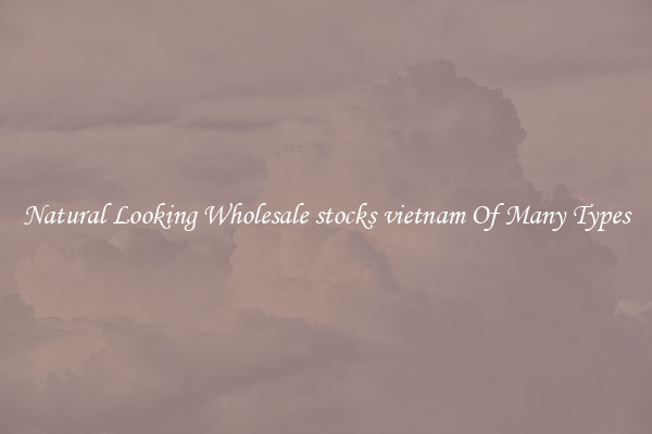Natural Looking Wholesale stocks vietnam Of Many Types