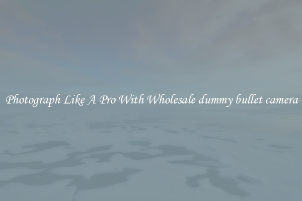 Photograph Like A Pro With Wholesale dummy bullet camera